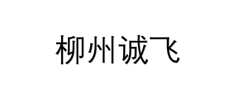 柳州诚飞汽车零部件有限公司