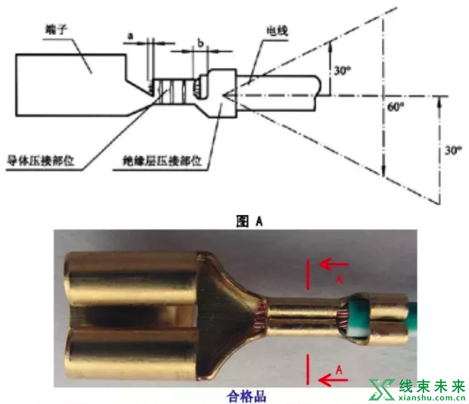 新知达人, 【端子】铆压作业标准书