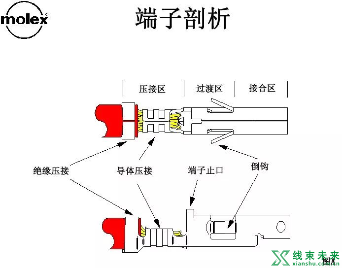 Molex压着判定标准