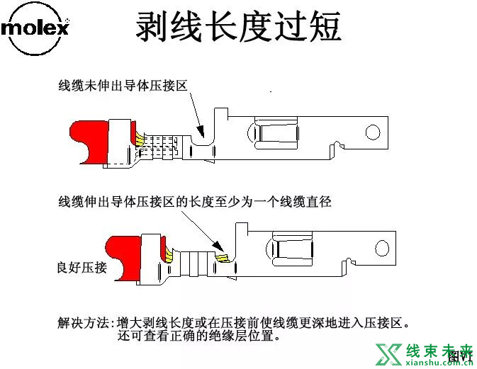 Molex压着判定标准