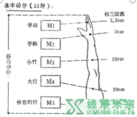 标准工时计算方法，标准动作的时间分析（MOD模特法分析）