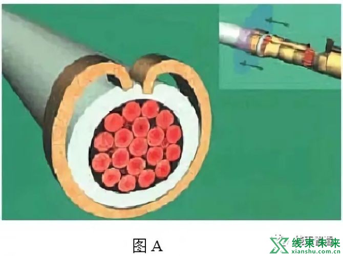 新知达人, 线缆及线束组件检验标准（二）