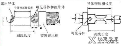 新知达人, 生产工艺详解及注意事项