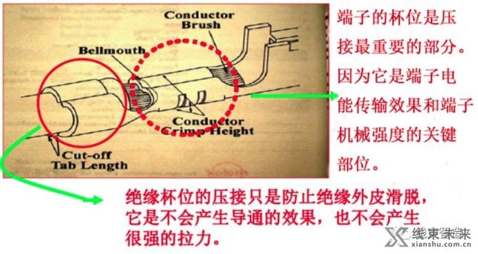 新知达人, 【端子】压接分析